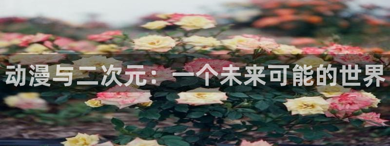 漫蛙漫画网页入口漫蛙官网版