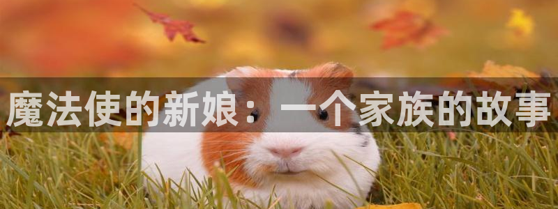 漫蛙漫画app下载最新版本