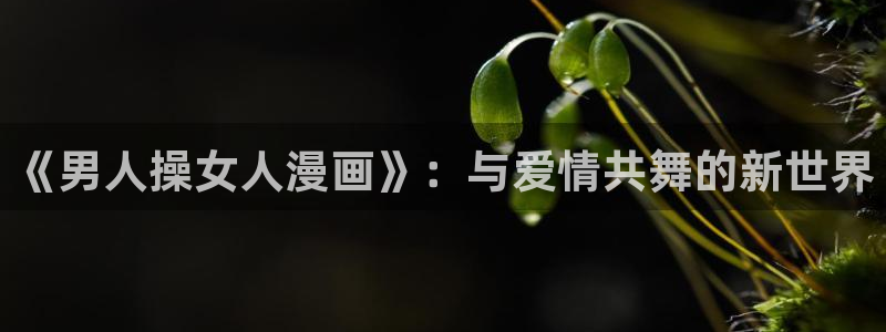 漫蛙库漫画