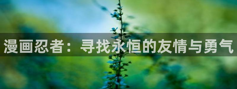 漫蛙3