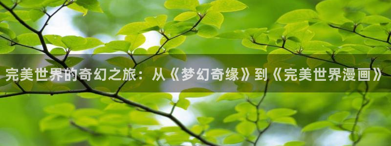 漫蛙漫画免费漫画入口页面在线