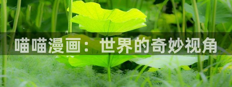漫蛙manwa2韩漫