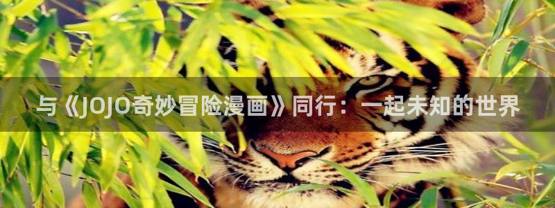 漫蛙漫画(网页入口)最新版本