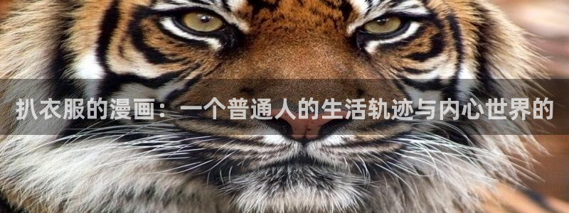 漫蛙漫画防