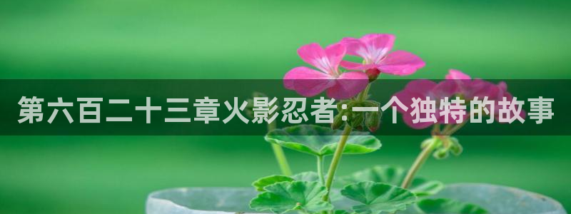 漫蛙韩漫画官网