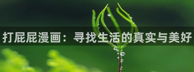 枯萎之花上的眼泪漫蛙