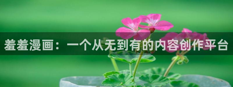 漫蛙入口页面