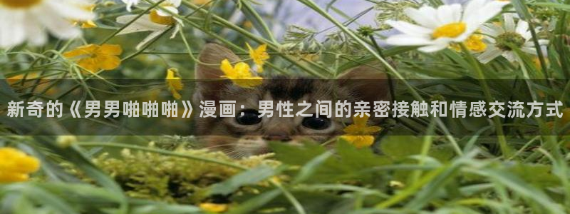 漫蛙2安装包