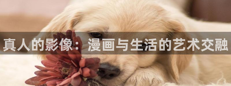 漫蛙2漫画正版免费下载
