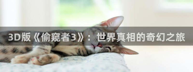 漫蛙漫画在线登录入口网站