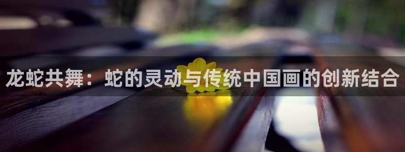 漫蛙动漫网页入口