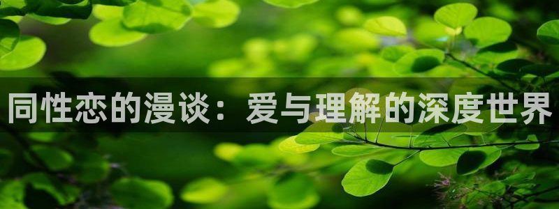 漫蛙2024