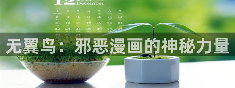 漫蛙app正版官网