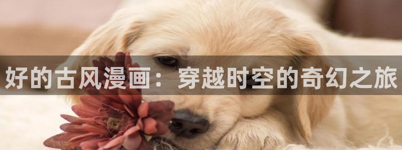 漫蛙网站在线观看