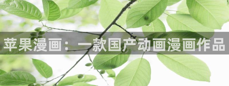 大陆地区2:漫蛙2025