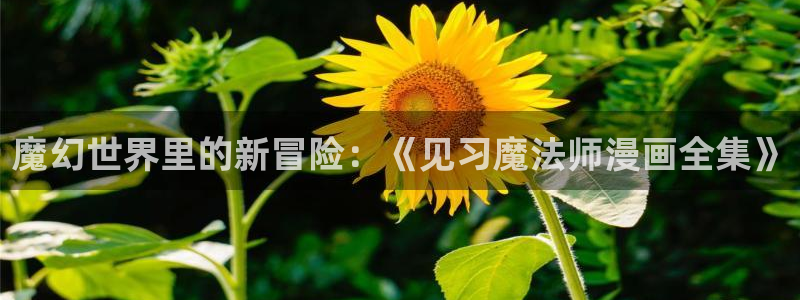 漫蛙账号登录