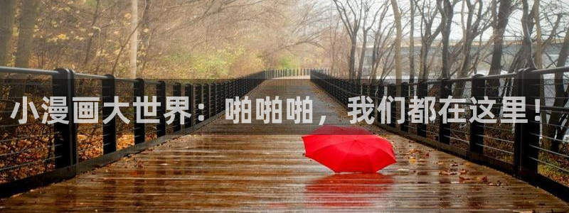 网页漫蛙