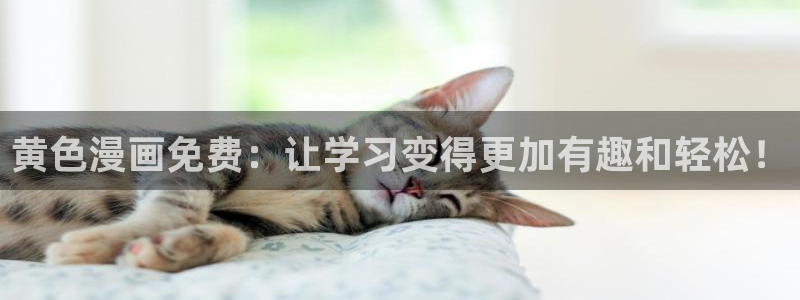 漫蛙漫画免费漫画入口