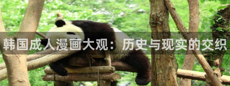 怎么下漫蛙