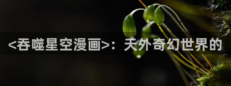 漫蛙漫画在线登录入