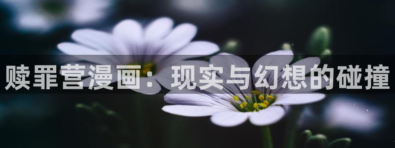 漫蛙网址.：赎罪营漫画：现实与幻想的碰撞