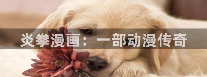 www,漫蛙漫画,com