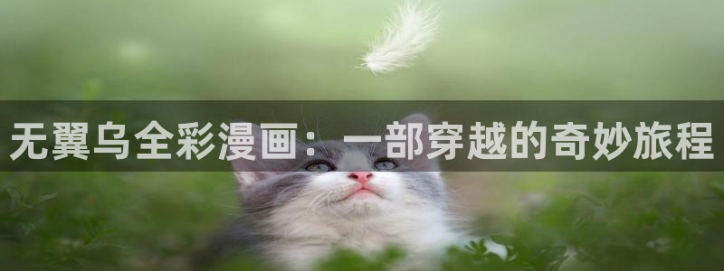 漫蛙防：无翼乌全彩漫画：一部穿越的奇妙旅程