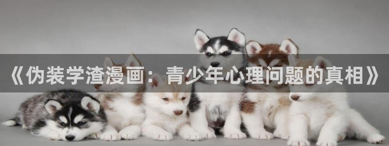 漫蛙漫画在线登录入口网站