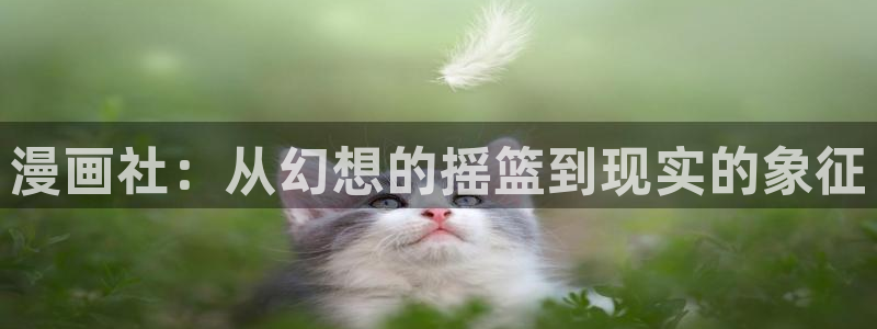 漫蛙无广告