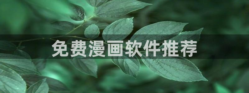 漫蛙2正版
