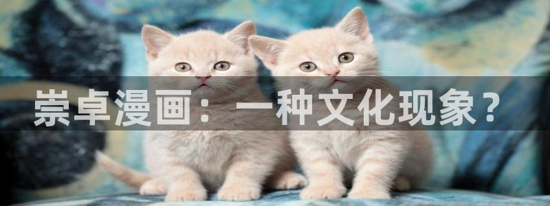 漫蛙2漫画免费漫画入口：崇卓漫画：一种文化现象？