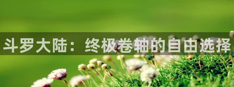 漫蛙免费：斗罗大陆：终极卷轴的自由选择