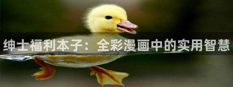 漫蛙漫画官方入口页面