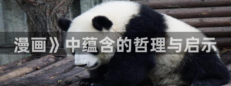 漫蛙2app下载正版
