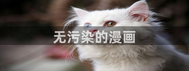 漫蛙怎么登录