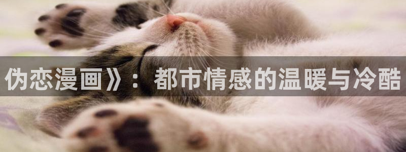 漫蛙漫画网页入口