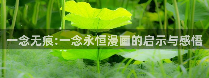 漫蛙网页版免费进入链接：一念无痕:一念永恒漫画的启示与感悟