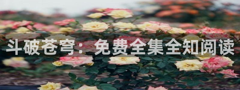 漫蛙网站免费阅读：斗破苍穹：免费全集全知阅读